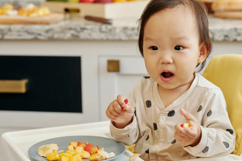 Imagen del artículo: Nutrición infantil: clave para el desarrollo